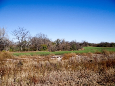 Tract #2 - 150.22± Acres of Farmland in Saline County Kansas - image 10