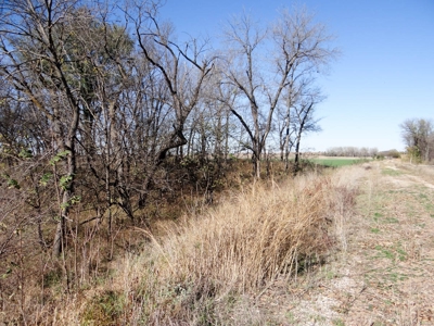 Tract #2 - 150.22± Acres of Farmland in Saline County Kansas - image 17