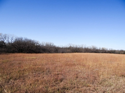 Tract #2 - 150.22± Acres of Farmland in Saline County Kansas - image 12