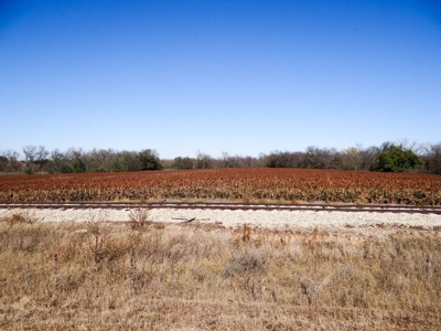 Tract #2 - 150.22± Acres of Farmland in Saline County Kansas - image 9