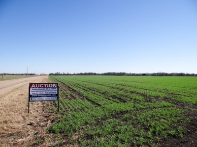Tract #2 - 150.22± Acres of Farmland in Saline County Kansas - image 2
