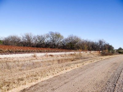 Tract #2 - 150.22± Acres of Farmland in Saline County Kansas - image 7