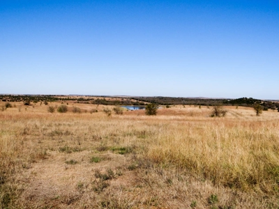 Tract #3 - 314.12± Acres of Pasture Land in Saline County KS - image 3