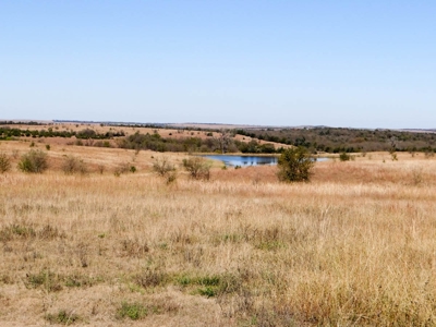 Tract #3 - 314.12± Acres of Pasture Land in Saline County KS - image 2