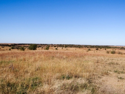 Tract #3 - 314.12± Acres of Pasture Land in Saline County KS - image 4