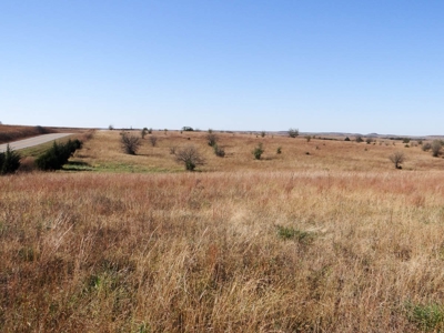 Tract #3 - 314.12± Acres of Pasture Land in Saline County KS - image 5