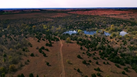 Tract #4 - 163.66± Acres of Hunting Land "Backlash Quarter" - image 1