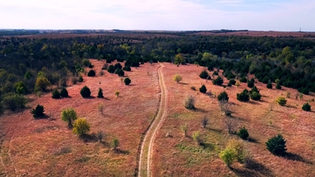 Tract #4 - 163.66± Acres of Hunting Land "Backlash Quarter" - image 2