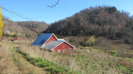 Off Grid or On Home on 10 acres-spring-for sale in Wisconsin - image 3