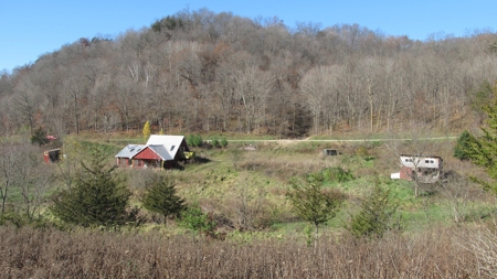 Off Grid or On Home on 10 acres-spring-for sale in Wisconsin - image 10