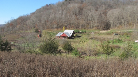 Off Grid or On Home on 10 acres-spring-for sale in Wisconsin - image 7