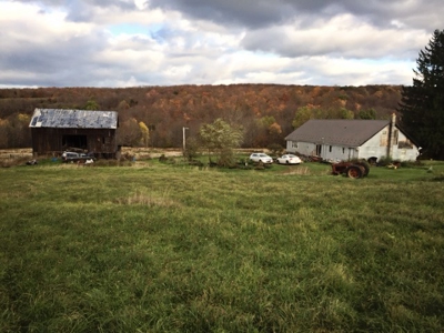 Rural Country Acreage in Steuben County, NY - image 2