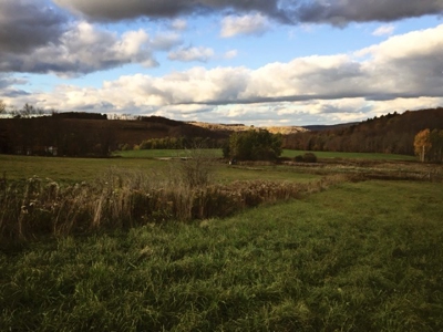 Rural Country Acreage in Steuben County, NY - image 3