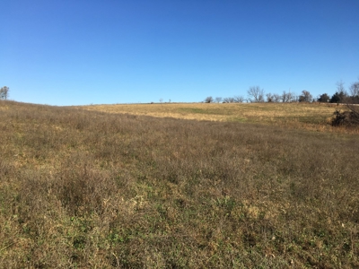 Clarke County, Iowa Land for Sale at Auction - image 3