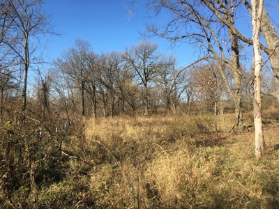 Clarke County, Iowa Land for Sale at Auction - image 6
