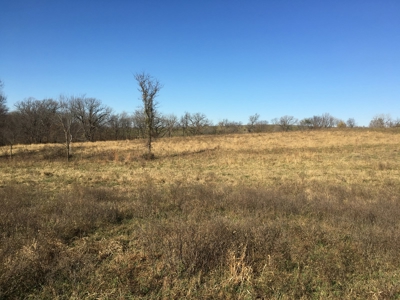 Clarke County, Iowa Land for Sale at Auction - image 9