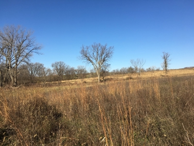 Clarke County, Iowa Land for Sale at Auction - image 4