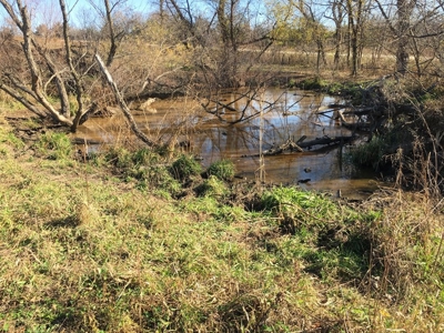 Clarke County, Iowa Land for Sale at Auction - image 10