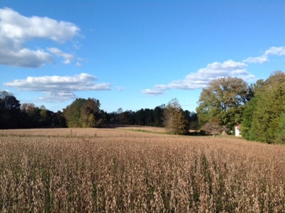 Central Virginia Farm w/ High Quality Timber & Class 1 Soils - image 16