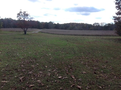 Central Virginia Farm w/ High Quality Timber & Class 1 Soils - image 8