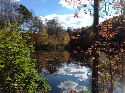 Central Virginia Farm w/ High Quality Timber & Class 1 Soils - image 12