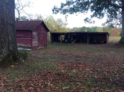 Central Virginia Farm w/ High Quality Timber & Class 1 Soils - image 5