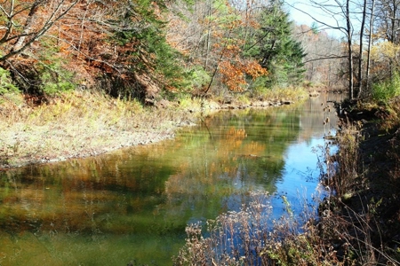 Historic 1812 Bradford County Farmhouse/Barn/Land/Creek - image 36