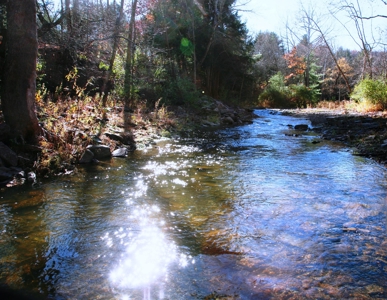 Historic 1812 Bradford County Farmhouse/Barn/Land/Creek - image 37