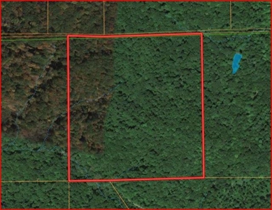 Brown County Real Estate for Sale | Timber Land - image 1