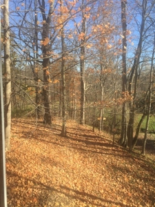 Oberlin Residential and Farmland Auction - 12/10/16 @ 11 a.m - image 18