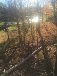Oberlin Residential and Farmland Auction - 12/10/16 @ 11 a.m - image 19