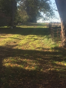 Oberlin Residential and Farmland Auction - 12/10/16 @ 11 a.m - image 42