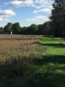 Oberlin Residential and Farmland Auction - 12/10/16 @ 11 a.m - image 3