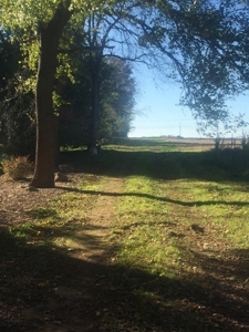 Oberlin Residential and Farmland Auction - 12/10/16 @ 11 a.m - image 44