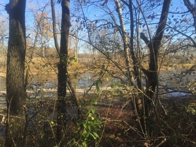 Oberlin Residential and Farmland Auction - 12/10/16 @ 11 a.m - image 32