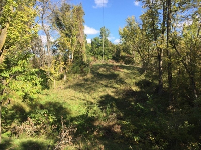 Oberlin Residential and Farmland Auction - 12/10/16 @ 11 a.m - image 10