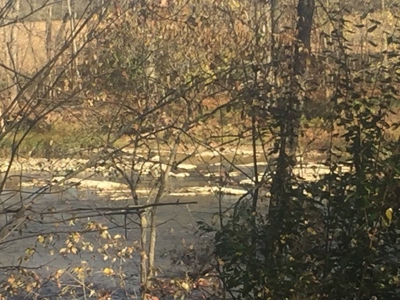 Oberlin Residential and Farmland Auction - 12/10/16 @ 11 a.m - image 29