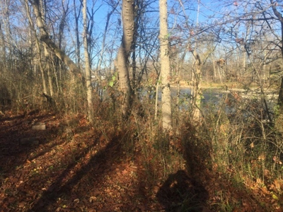 Oberlin Residential and Farmland Auction - 12/10/16 @ 11 a.m - image 31