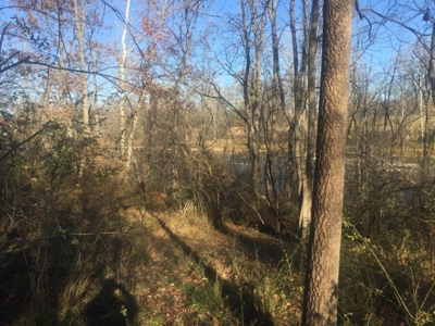 Oberlin Residential and Farmland Auction - 12/10/16 @ 11 a.m - image 28