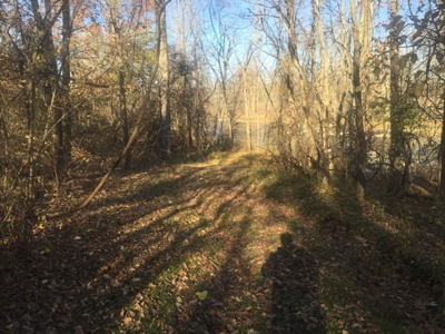 Oberlin Residential and Farmland Auction - 12/10/16 @ 11 a.m - image 33