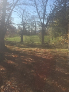 Oberlin Residential and Farmland Auction - 12/10/16 @ 11 a.m - image 20
