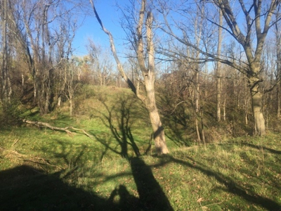 Oberlin Residential and Farmland Auction - 12/10/16 @ 11 a.m - image 26