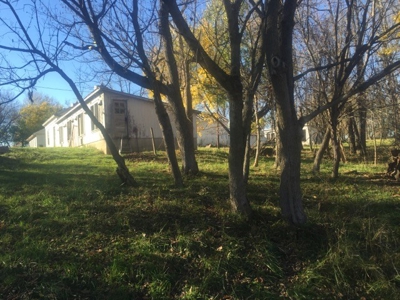 Oberlin Residential and Farmland Auction - 12/10/16 @ 11 a.m - image 34