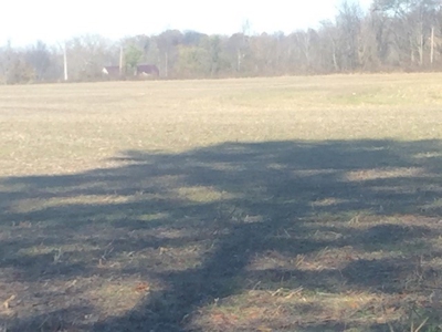 Oberlin Residential and Farmland Auction - 12/10/16 @ 11 a.m - image 48