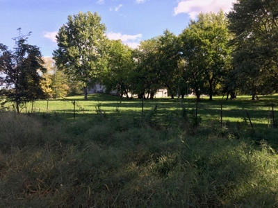 Oberlin Residential and Farmland Auction - 12/10/16 @ 11 a.m - image 16