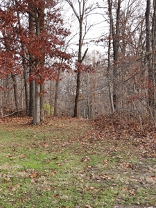 Income Producing Cabins - image 14