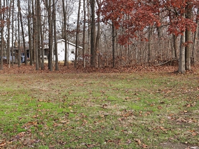 Income Producing Cabins - image 13