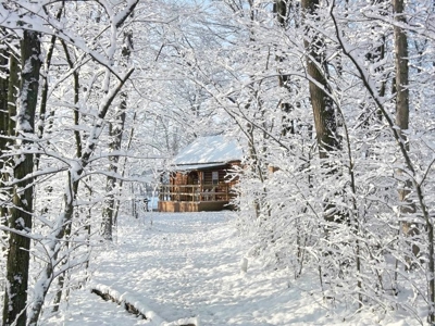 Income Producing Cabins - image 7