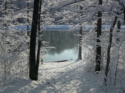 Income Producing Cabins - image 5