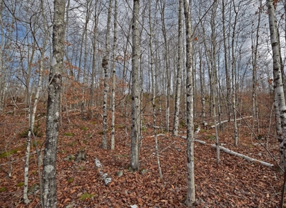 Maine Land for Sale in Greenfield - image 24